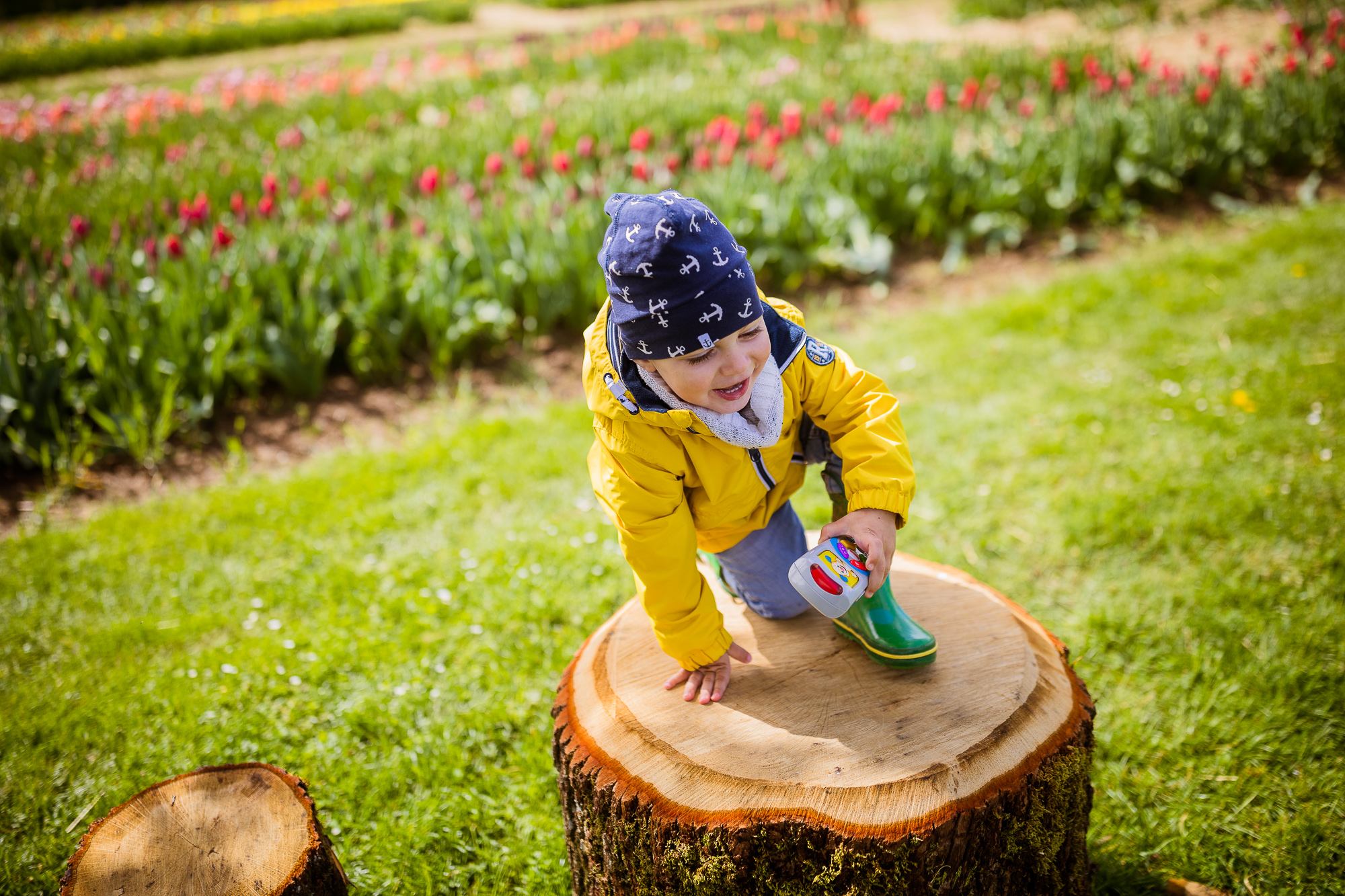 Export x3 5D4 6557 Familienfotoshooting 2019 Hefti